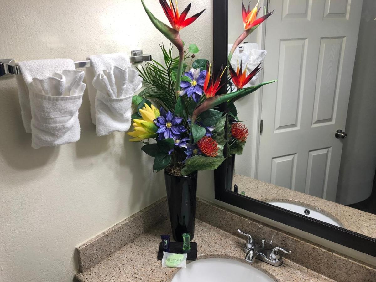 Econo Lodge Choice Hotels I 95 Savannah Gateway 24 Hour Fitness Center On Site Guest Laundry On Site Perkins Restaurant Georgetown Екстериор снимка